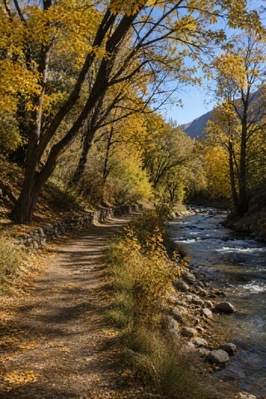 Scenic Walks